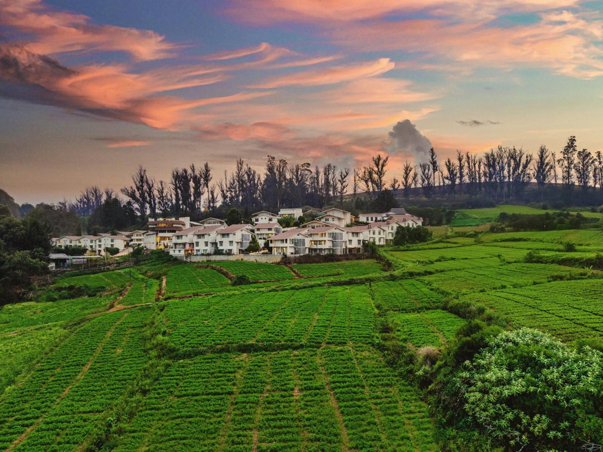 Mango Hill Shola Ooty Hotel Exterior foto